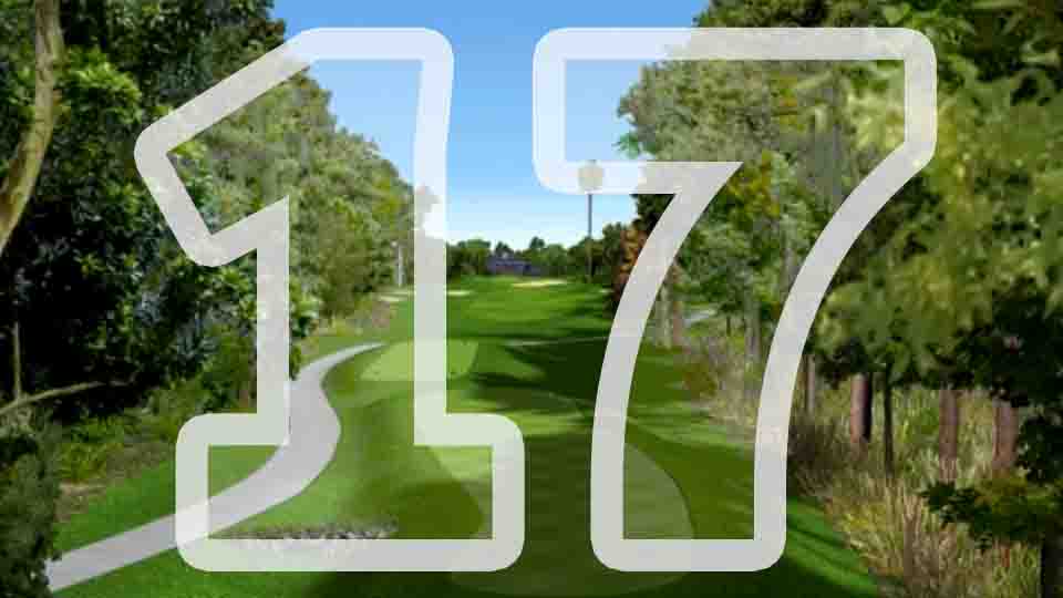 Hole 17 flyover thumbnail