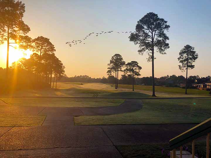 Sunny view of the Windance course